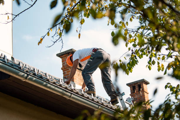 Best Roof Maintenance Services  in Gig Harbor, WA